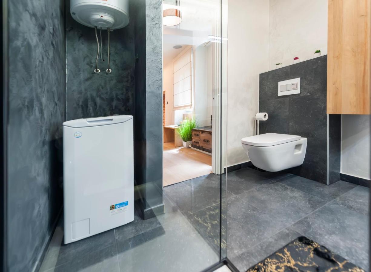 Dc II Downtown Apartment 罗维尼 外观 照片